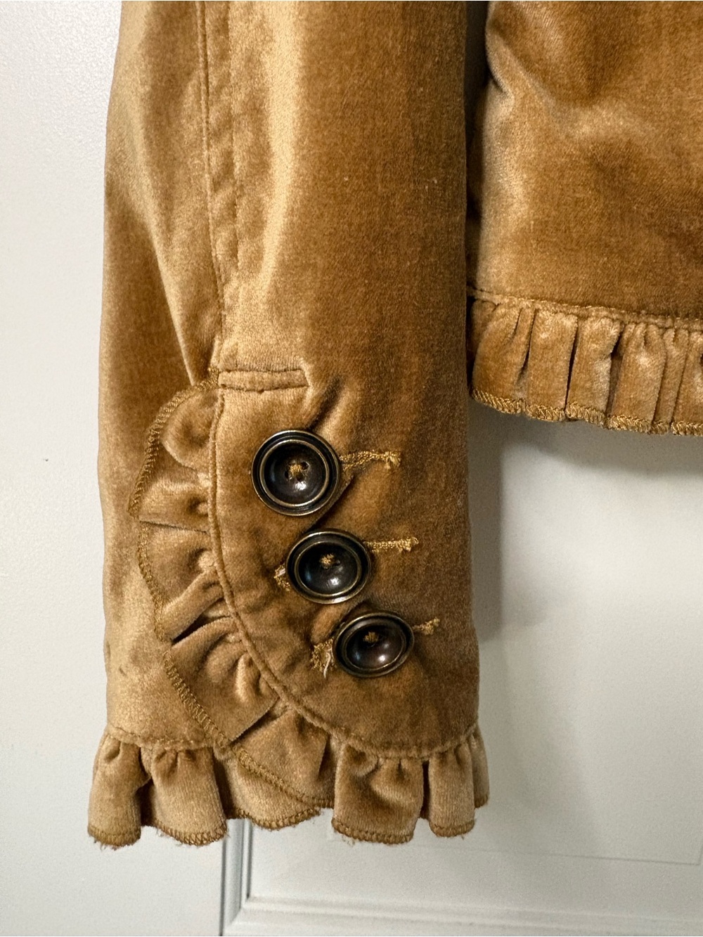 Tyler Boe Ruffle-Trim Velvet Jacket in Camel - Picture 5 of 6
